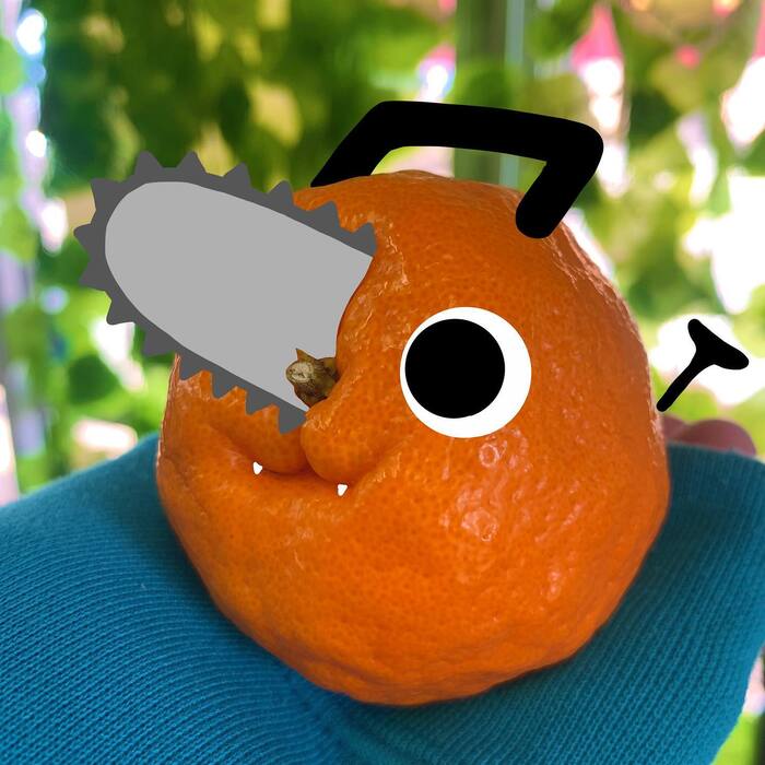 画像232