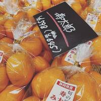画像237