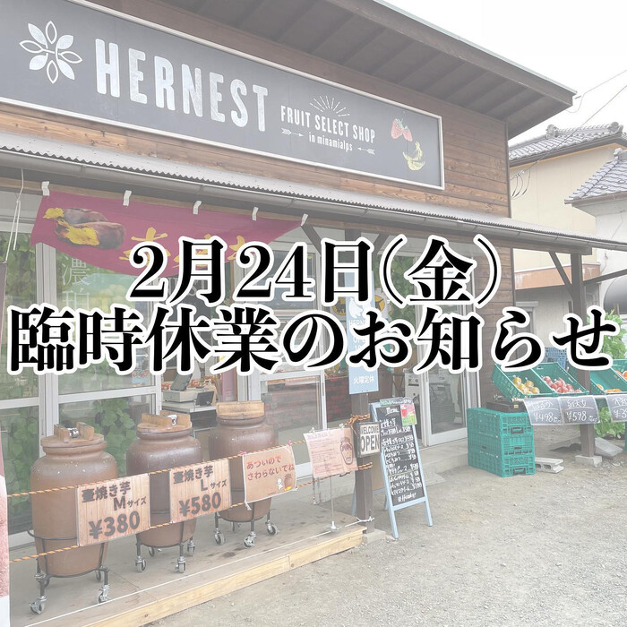 画像255