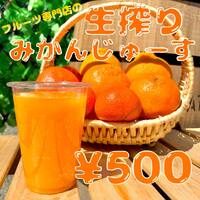画像281