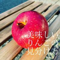 画像289