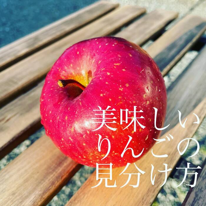 画像289