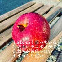 画像290