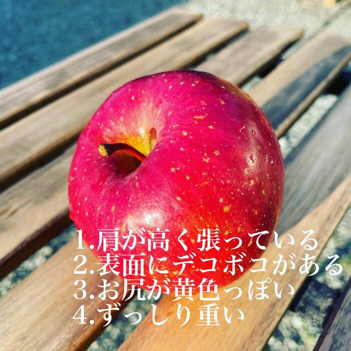 画像290