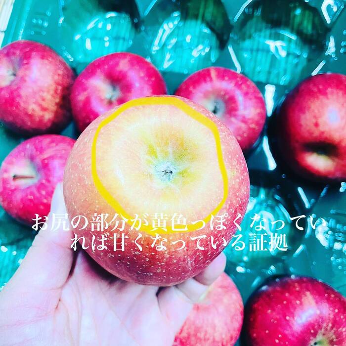 画像292