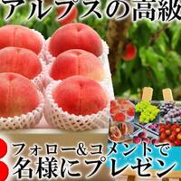 画像379