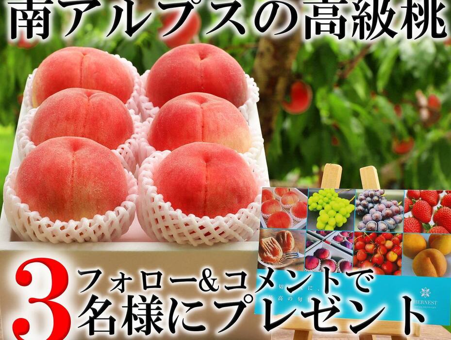 画像379