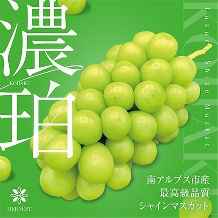画像418