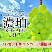 画像423