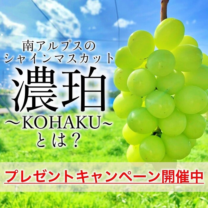 画像423