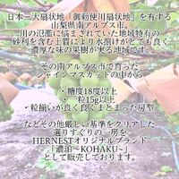 画像424