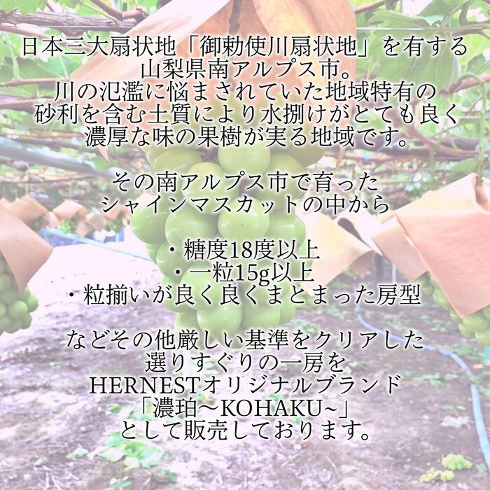 画像424