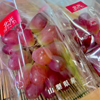 画像448