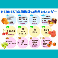 画像461