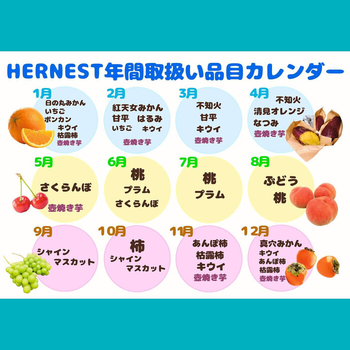 画像461