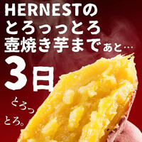 画像465