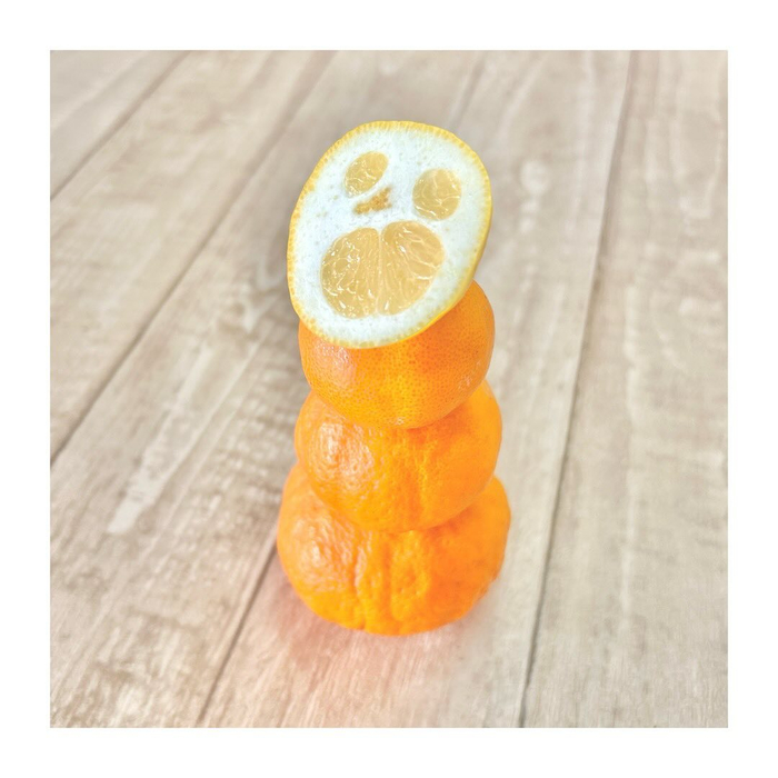画像585
