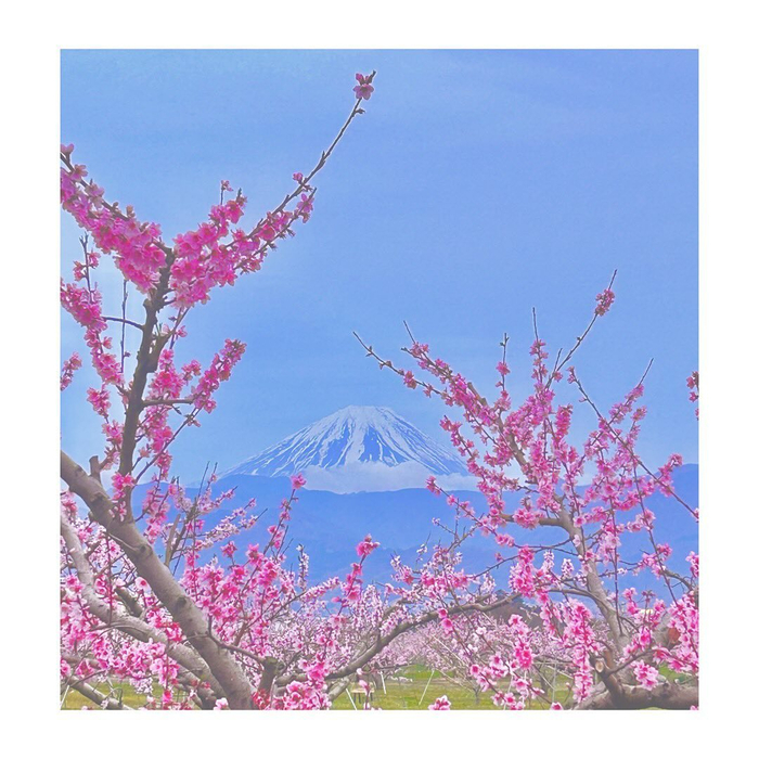 画像598