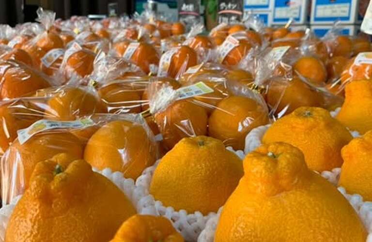 デコポンと不知火の違いをご存知ですか？